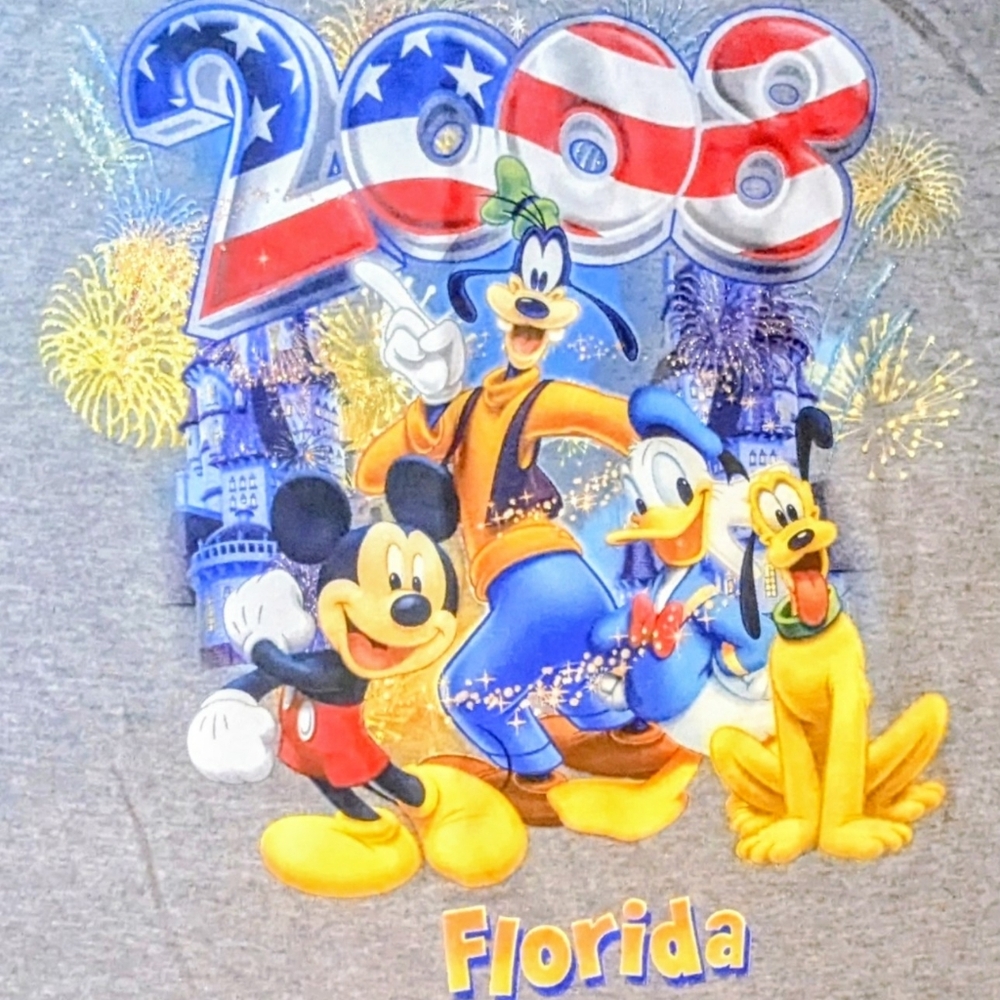 Vintage 2008 Disney World Florida T-shirt, Gray Unisex Large Retro